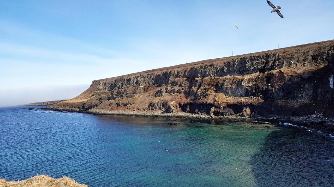 Happy-Cove Guesthouse - By The Sea Bakkafjorthur Exterior foto
