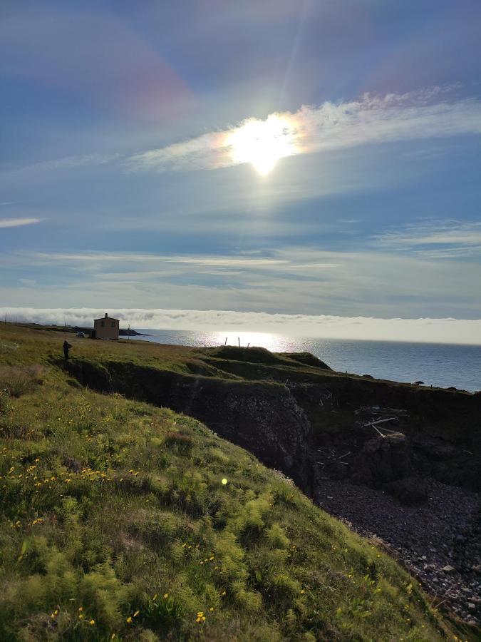 Happy-Cove Guesthouse - By The Sea Bakkafjorthur Exterior foto
