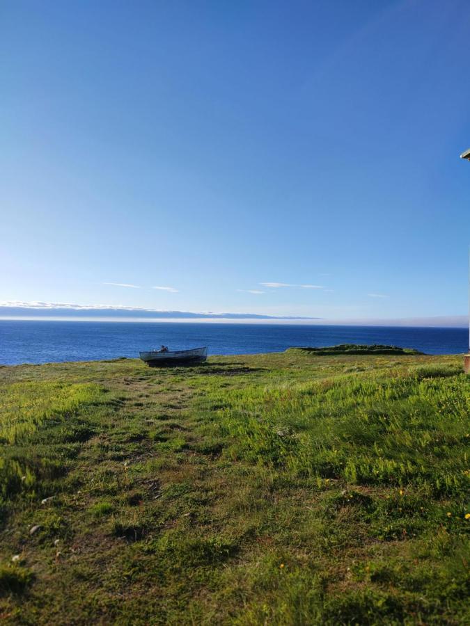 Happy-Cove Guesthouse - By The Sea Bakkafjorthur Exterior foto