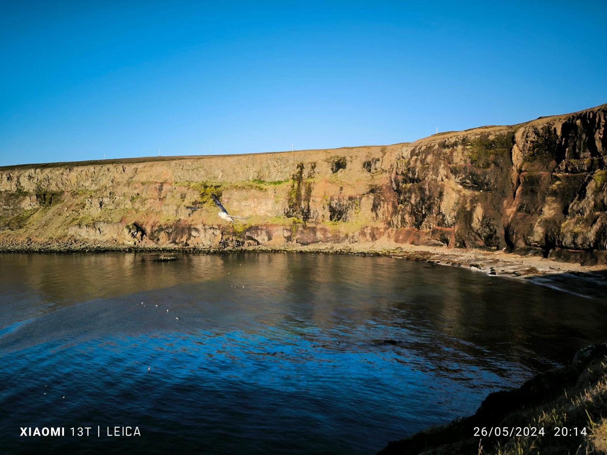 Happy-Cove Guesthouse - By The Sea Bakkafjorthur Exterior foto